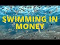 Swimming in Money | Subliminal Affirmations for Wealth, Abundance, Success | LOA Deep Sleep Program