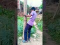 kya dance kya hai 🤣🤣😂😂 #comedy #funny video😂😂🤣🤣 please subscribe😭😭 😞😞🙏🙏please support gys 😭😭🙏🙏😞😞🥺🥺🙏🙏