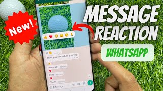 How to Use WhatsApp Message Reaction | Whatsapp Reaction Update