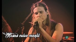 Video thumbnail of "Débler - Rosas color marfil Directo Radio 3"