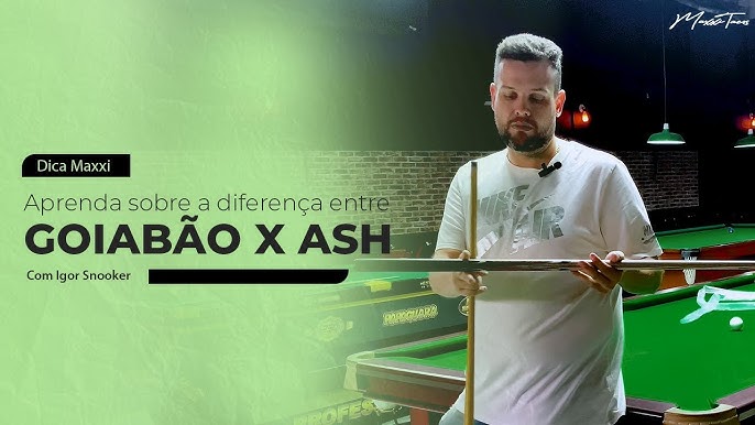 Taco de Sinuca Bipartido Profissional Ash Ajun + Giz Maxxi