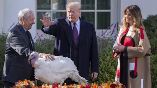 🔴 LIVE: President Trump and The First Lady Present the National Thanksgiving Turkey