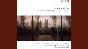Ritornelle in canonischen Weisen, Op. 65: No. 1. Die Rose stand im Tau (The Rose stand in the Dew)