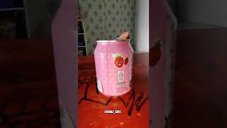 Astor  #fyp #viral #shorts #youtubeshorts #shortvideo