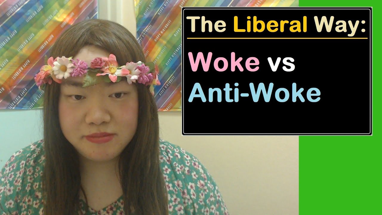 Woke vs Anti-Woke: The Liberal Way by TaraElla (Summary)