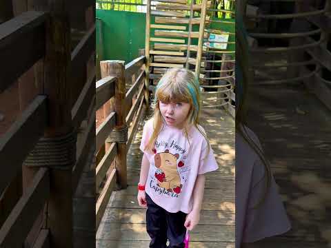 Parece você 😂 #shorts