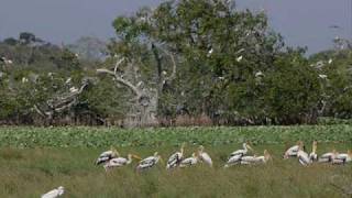 SRI LANKA TOURISM BY TGL