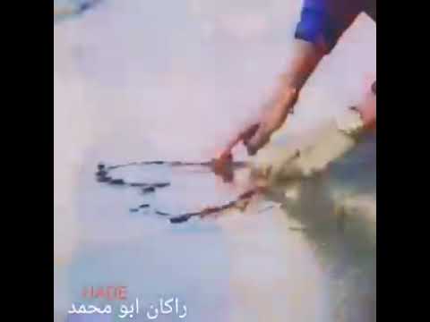 انت تسافر وانا بموت