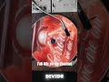 WE ARE ONE HORRORCORE #cypreehill #undergroundhiphop #hiphop #rap