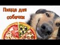 Пицца для собачки