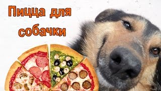 Пицца для собачки