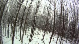 10 Point Buck Opening Morning 2012