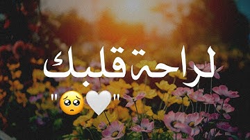 قرآن كريم بصوت القارئ وديع اليمني 🌿 تلاوة خاشعة ارح قلبك !! حالات واتس اب ستوريات قرآن Quran status