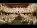 America&#39;s FASTEST Rabbit Growing Farm Will SHOCK You