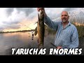 TARARIRAS GRANDES | Tarariras en Bragado [Parte 1/2] ⚠️LA MEJOR PESCA DE MI VIDA⚠️ Laguna El Abuelo