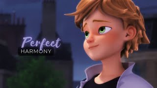 Perfect Harmony | Miraculous AMV