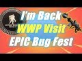 WWP Visit and Epic Bug Fest / Fortnite