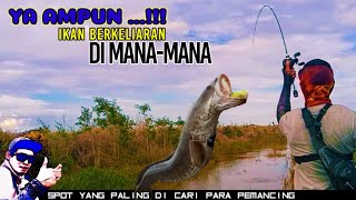 Percayalah  Spot Seperti Ini Banyak Di Huni Sang Predator