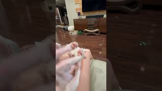 Cat Relaxes in an Awkward Position