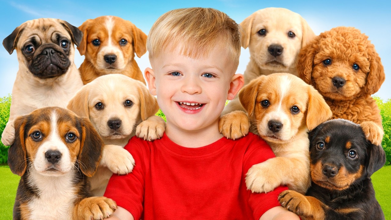 آدم ينقذ الجرو الضائع! قصص عن اللطف والمساعدة للأطفال