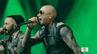 Todo comienza en la disco en vivo - Wisin y Yandel, Daddy Yankee