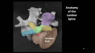 Ultrasound-assisted midline approach to spinal/epidural anesthesia