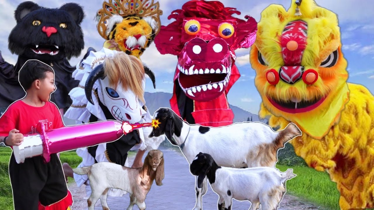 VICHO BERBURU B0C1L PAKAI SUNTIKAN MERAH DAPAT BANTENGAN WEDUSAN