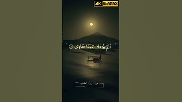 "ولسوف يعطيك ربك فترضى"🔥#قرآن #راحة_نفسية #سورة_الضحى