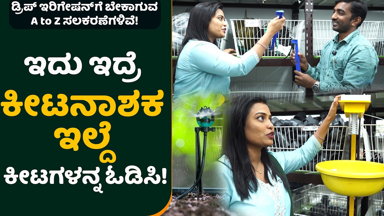 ಇದು ಇದ್ರೆ ಕೀಟನಾಶಕ ಇಲ್ದೆ ಕೀಟಗಳನ್ನ ಓಡಿಸಿ!ಡ್ರಿಪ್ ಇರಿಗೇಷನ್ ಗೆ ಬೇಕಾಗುವ A to Z ಸಲಕರಣೆಗಳಿವೆ!#dripirrigation