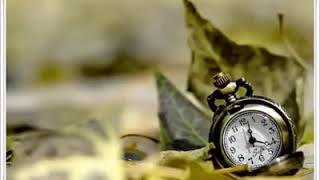 Vişne Dalı (Balıkesir Yöresi)