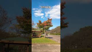 #인천대공원단풍#🍁가을 산책#단풍명소 #힐링타임