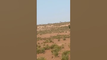 القران الكريم بصوت جميل للنوم راحة نفسية