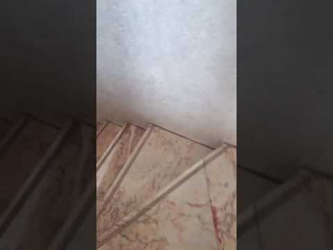 من معاني النزول من الدرج كتاب كيف تفسر احلامك للزير