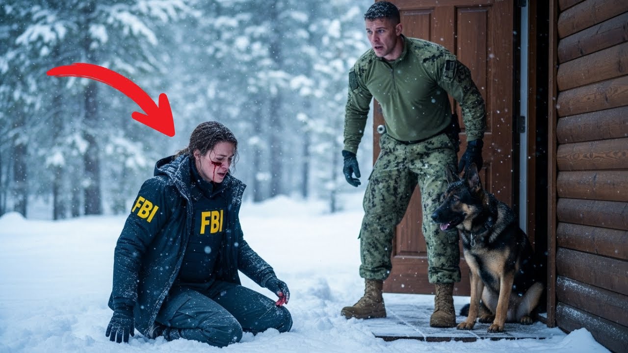 A Mysterious Woman Reached a Navy SEAL’s Cabin in the Snow – What He Did Changed Everything
