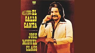 Video thumbnail of "Jose Miguel Class - "El Gallito de Manati" - Carino Ajeno"