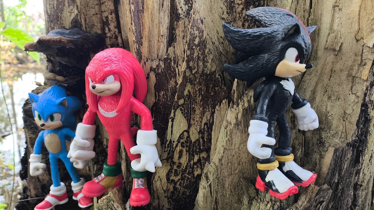 Sonic Hedgehog, Sonic Shadow, Knuckles, Tails, Metal Sonic, Super Sonic, Metal Sonic, Super Shadow