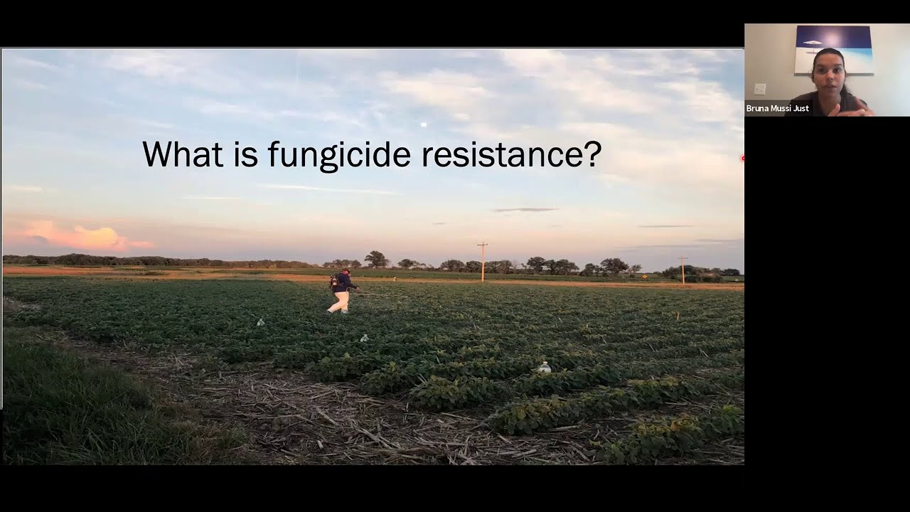 Detecting Fungicide Resistance in Missouri Soybean Pathogens - Bruna Just