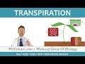 Water Transport and Transpiration in Plants
