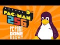 Pac-Man 256 | Review