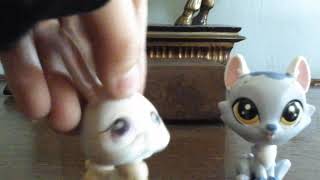 Im Freinds With A Monster