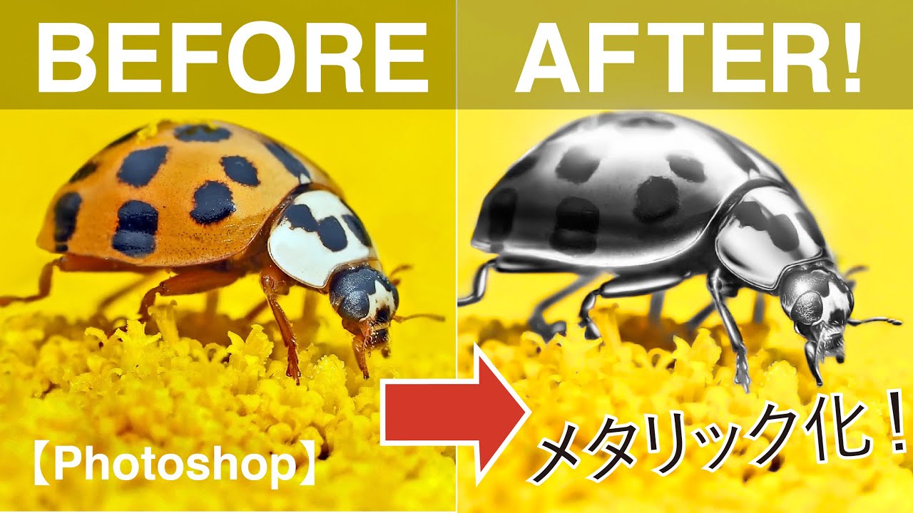 Photoshop てんとう虫をフォトショでメタリック加工 Ladybug Youtube