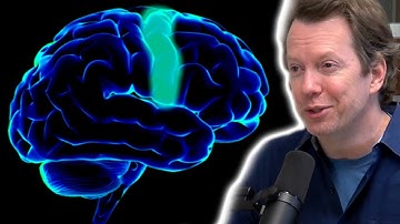 Sean Carroll: Capacity of the Human Mind to Understand Physics
