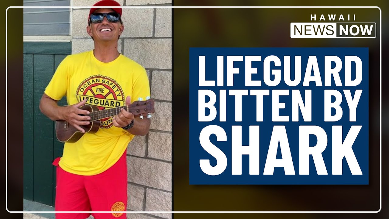 Off-duty Kauai lifeguard was surfing when shark bit his left leg, family says