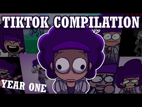 DANDAMINIFIG'S TIKTOK COMPILATION - Year One
