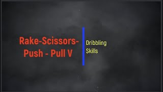 Celebrity Rake Scissors Push Pull V Profile