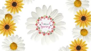 Hello Spring! Flowers for you.