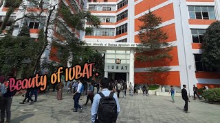 Beauty of IUBAT. First non Government University in Bangladesh.