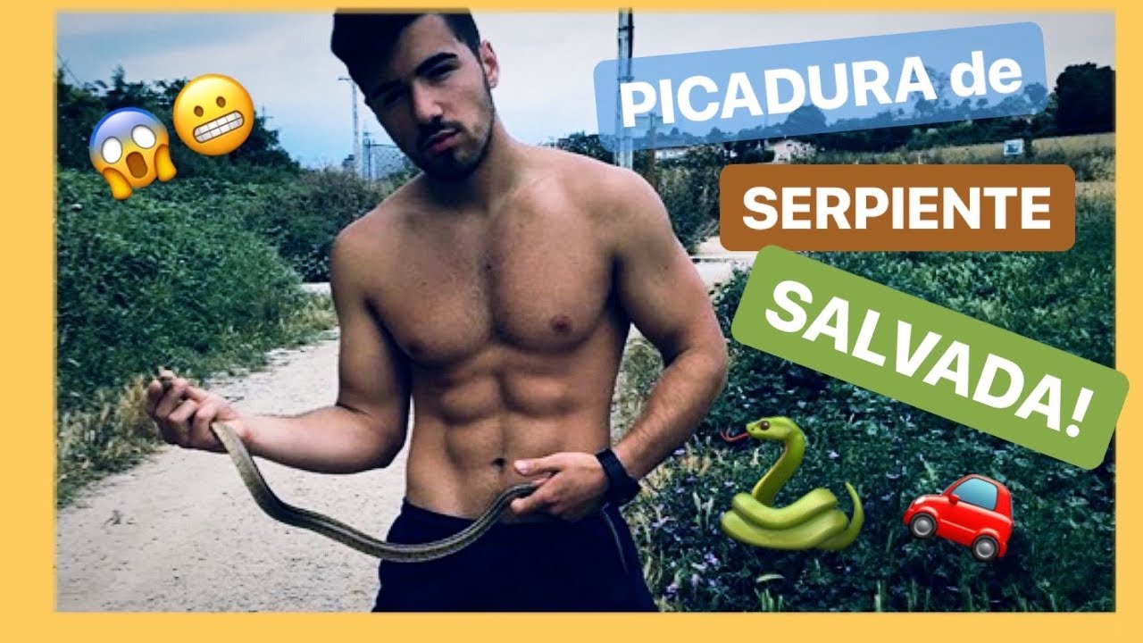 Me PICA una SERPIENTE y la SALVO para que no sea ATROPELLADA | Wild LóPez