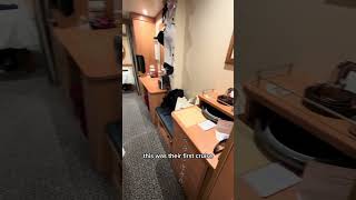 Tour Our ✨INSIDE STATEROOM✨ With Me! Room 1047 on the Disney Magic
