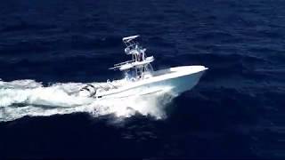 Dusky 33 with Tower